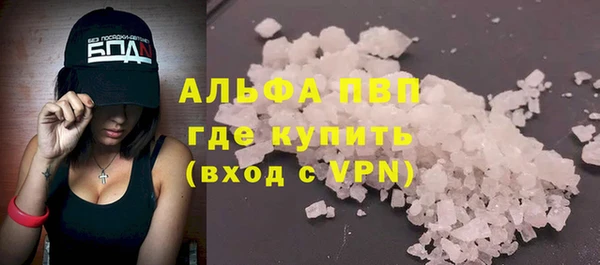 стаф Кинешма