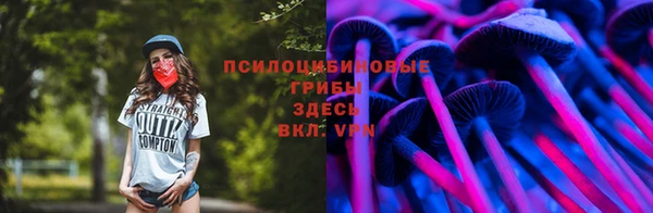 стаф Кинешма