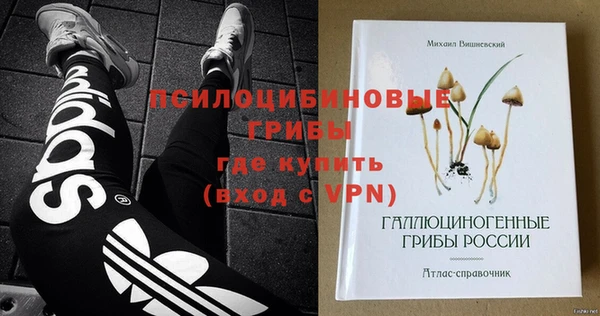 стаф Кинешма