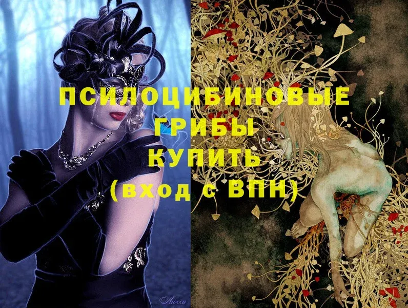 hydra   Челябинск  Галлюциногенные грибы GOLDEN TEACHER 