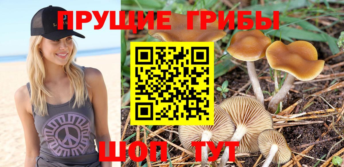 Псилоцибиновые грибы мухоморы  Галлюциногенные грибы ЛСД  Вход с VPN  Челябинск 