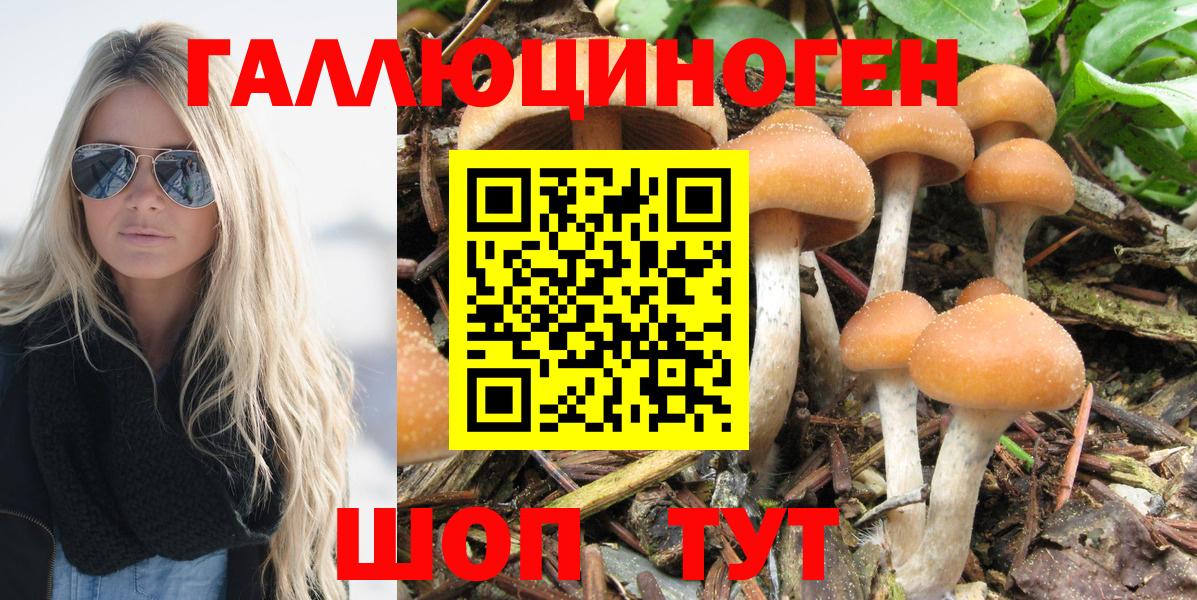 Галлюциногенные грибы Magic Shrooms Челябинск