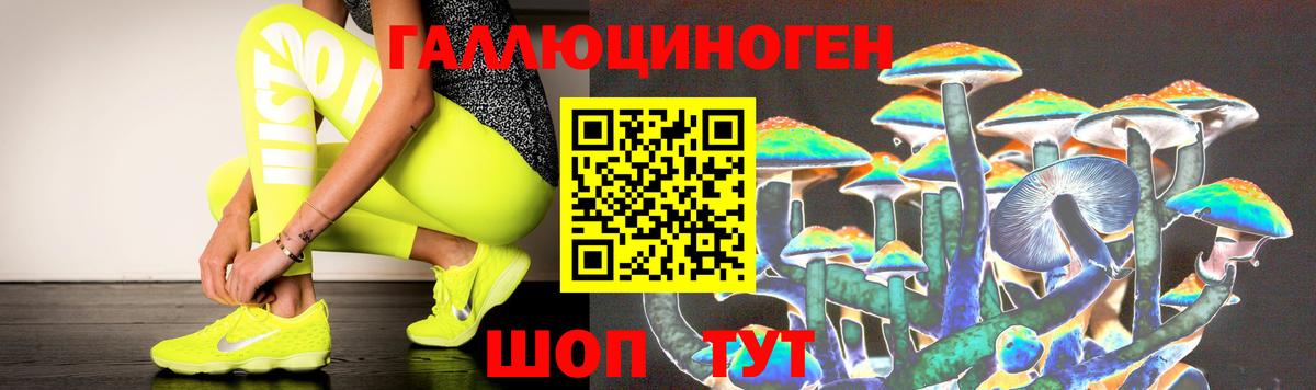 Галлюциногенные грибы GOLDEN TEACHER Челябинск